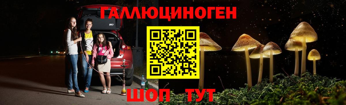 закладки  Псилоцибиновые грибы ЛСД  Вход с VPN  Малгобек 